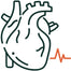 Supports Heart & Cardiovascular Health