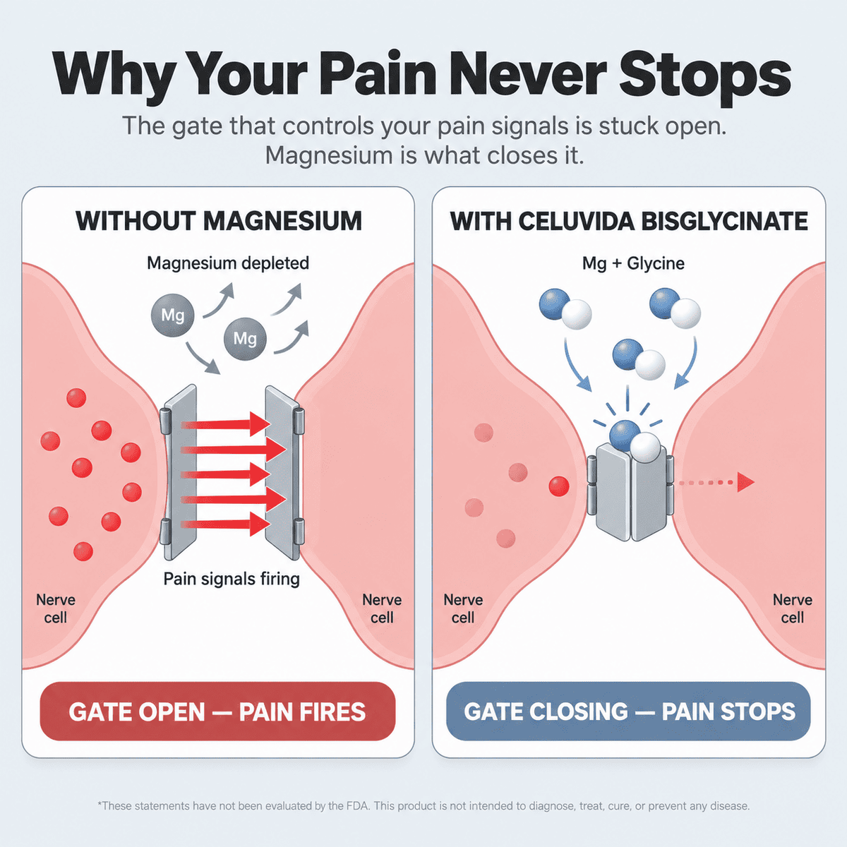 Pure Magnesium Bisglycinate Gummies — For Fibromyalgia Pain, Stiffness & Sleep