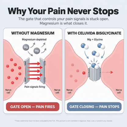 Pure Magnesium Bisglycinate Gummies — For Fibromyalgia Pain, Stiffness & Sleep